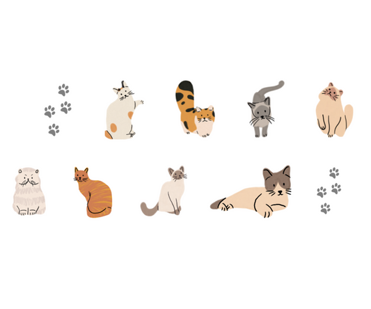 Purr-fect Pals UV-DTF Sticker (A5 Size with 40 names)